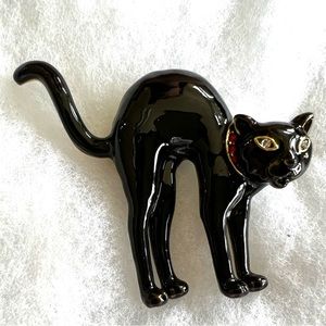 Heidi Daus 🆕 “Scardy Cat” black cat chic pin in original Heidi box